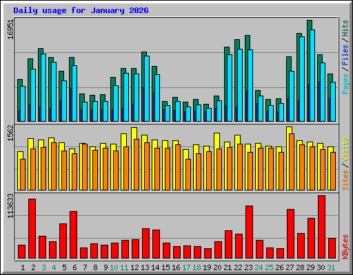Daily usage for January 2026