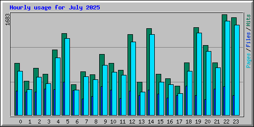 Hourly usage for July 2025