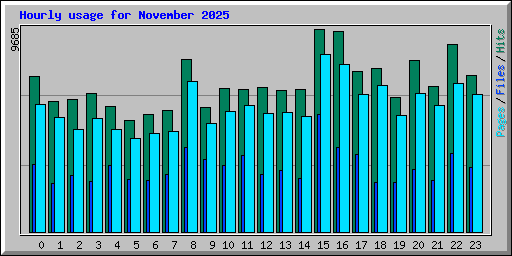 Hourly usage for November 2025