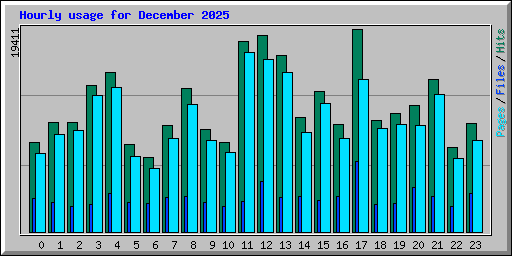 Hourly usage for December 2025