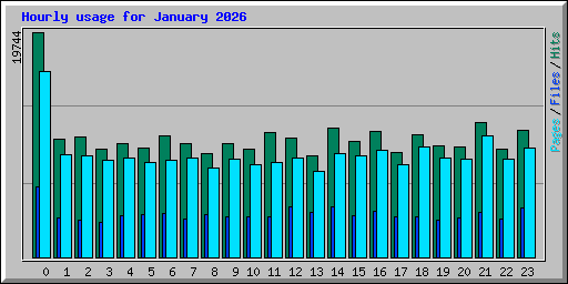 Hourly usage for January 2026