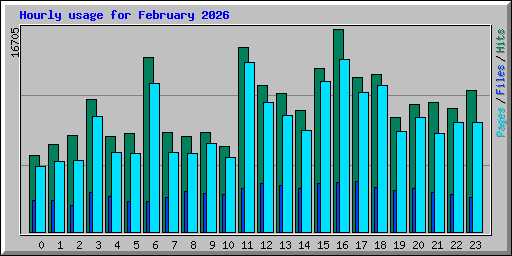 Hourly usage for February 2026