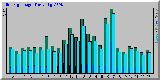 Hourly usage for July 2026
